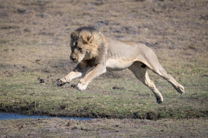Готель Jackalberry Chobe Касане Екстер'єр фото